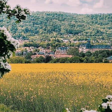 Ferienwohnung Trinitatis Sondershausen Zewnętrze zdjęcie