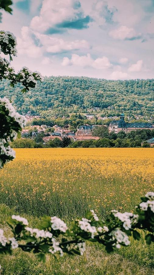 Ferienwohnung Trinitatis Sondershausen Zewnętrze zdjęcie